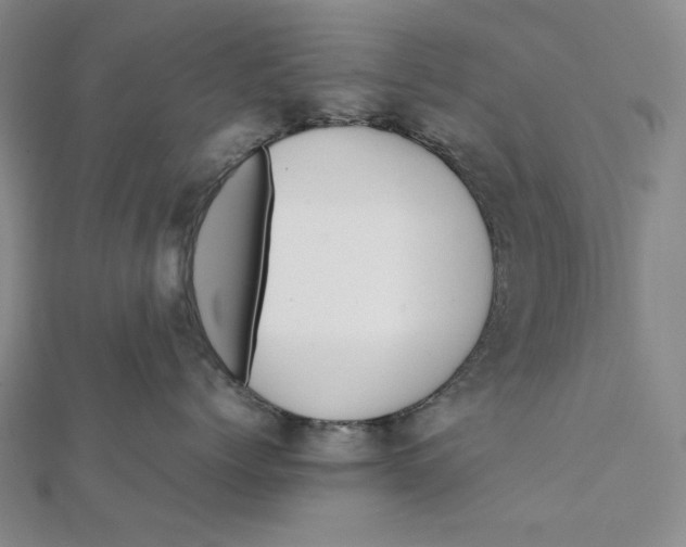 X0000112070768200908251042