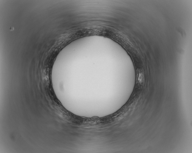 X0000112070771200908251041
