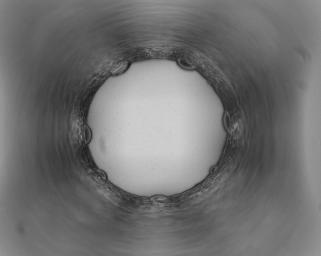 X0000112070772200908251041