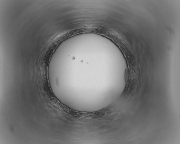 X0000112070773200908251041