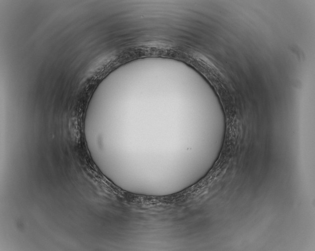 X0000112070774200908251041
