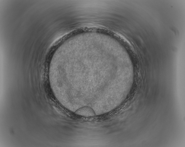 X0000112070775200908251041