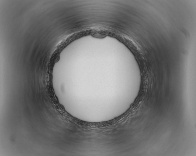 X0000112070776200908251041