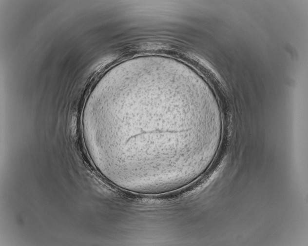 X0000112070777200908251041