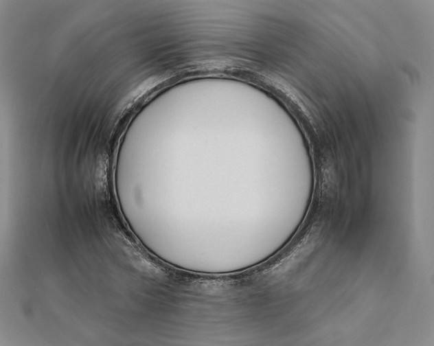 X0000112070778200908251041