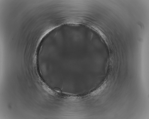 X0000112070779200908251041