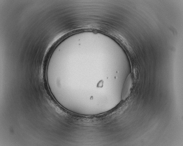 X0000112070780200908251041