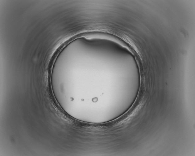 X0000112070781200908251041