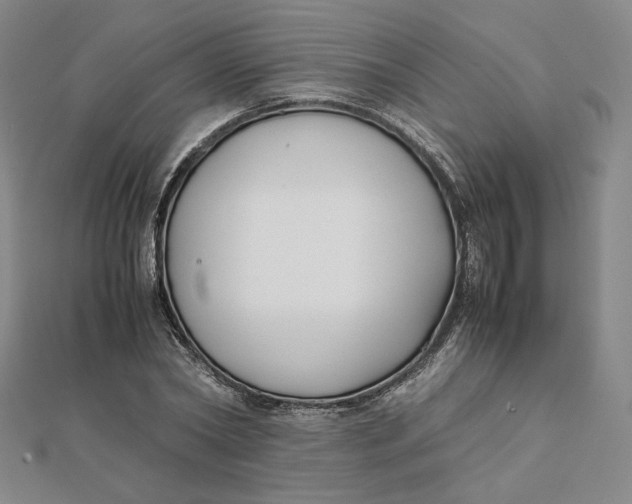 X0000112070782200908251041