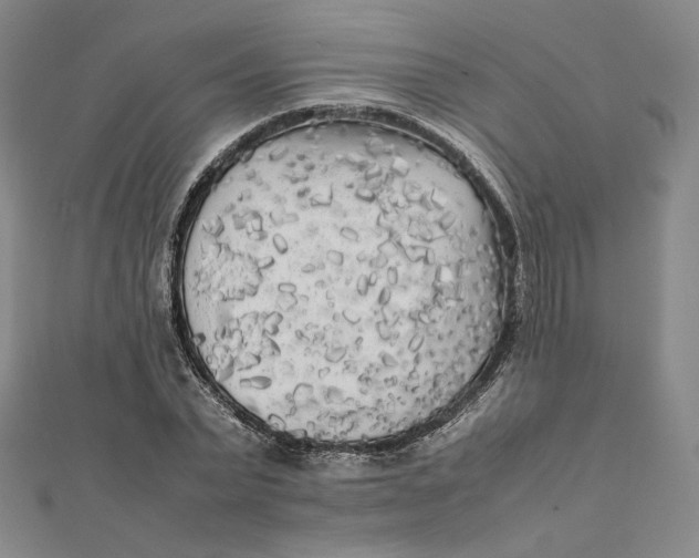 X0000112070783200908251041