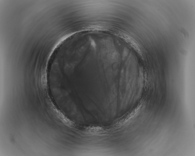 X0000112070784200908251041