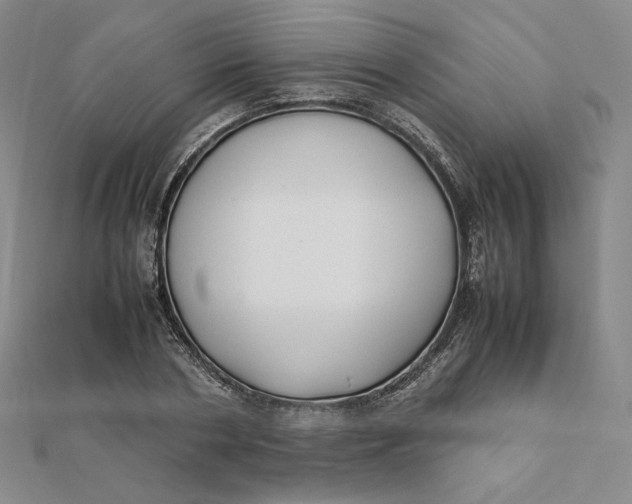 X0000112070786200908251041