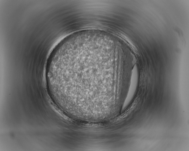 X0000112070788200908251041