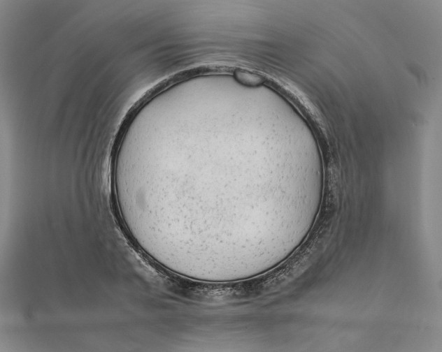 X0000112070791200908251041
