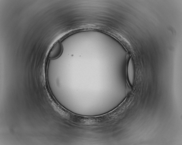 X0000112070792200908251041