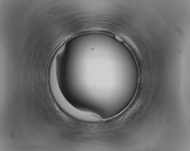 X0000112070793200908251041