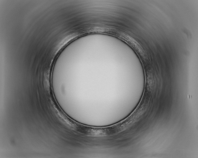 X0000112070794200908251041