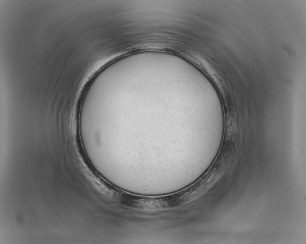 X0000112070795200908251041