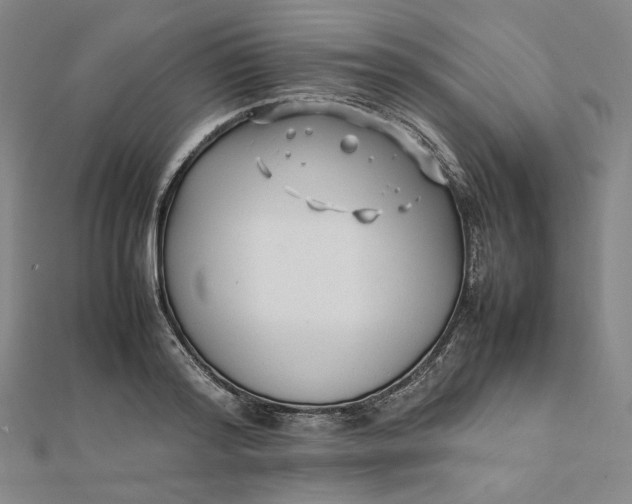 X0000112070796200908251041