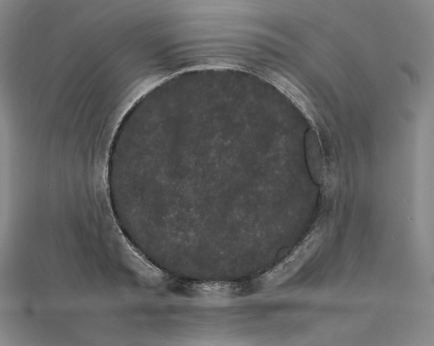 X0000112070797200908251041