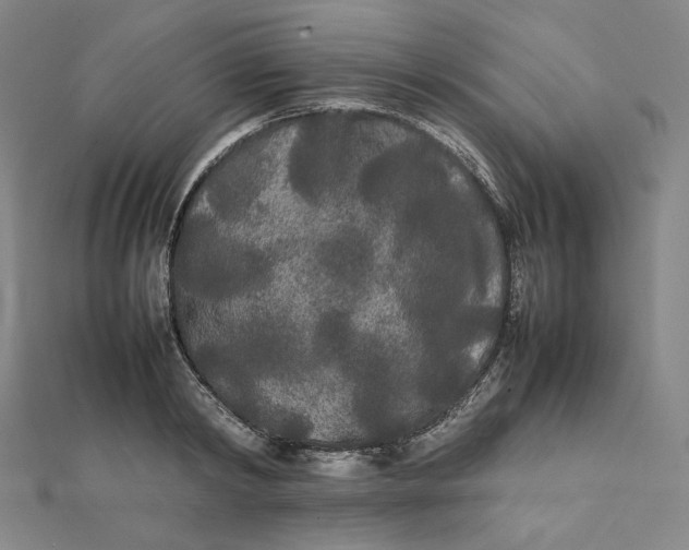 X0000112070798200908251041