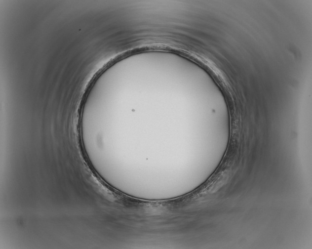 X0000112070799200908251041