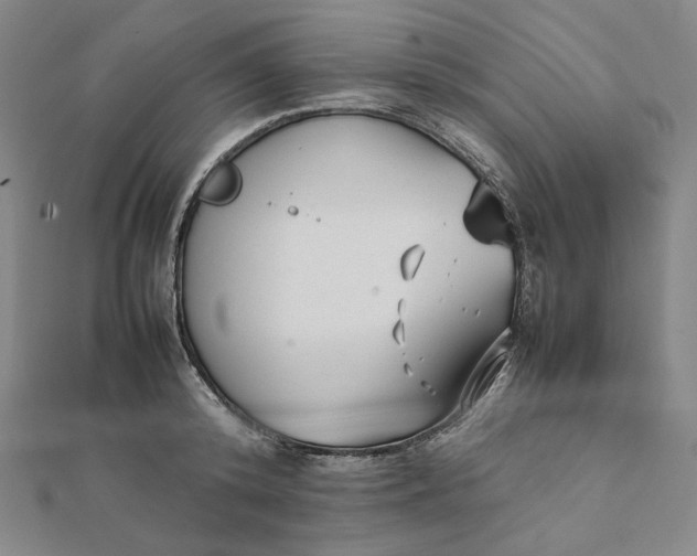 X0000112070800200908251041