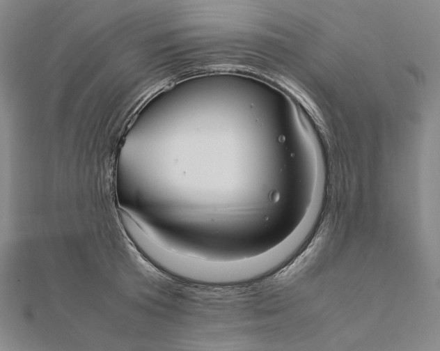 X0000112070801200908251041