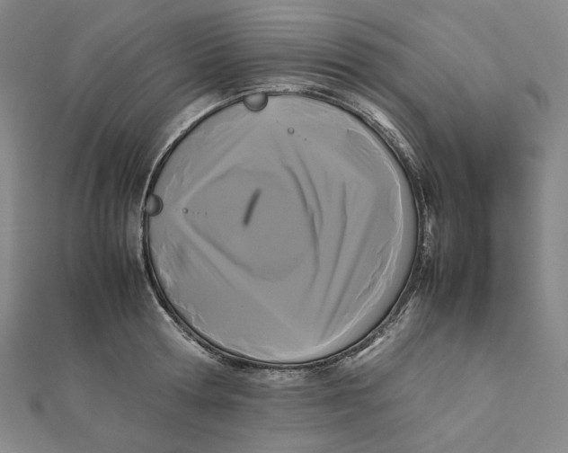 X0000112070802200908251041