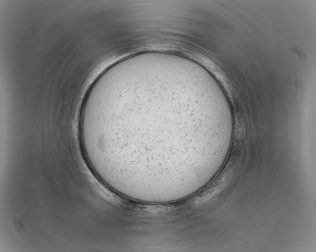 X0000112070803200908251041
