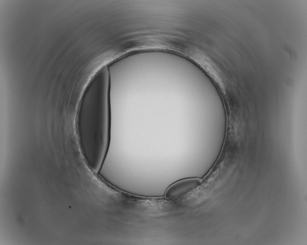 X0000112070805200908251041