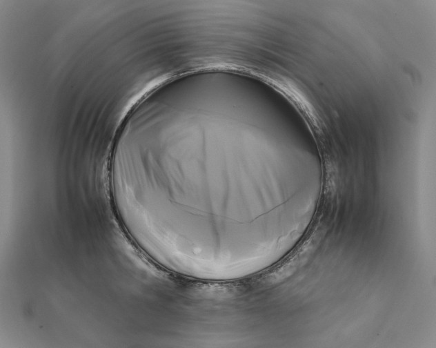 X0000112070806200908251041