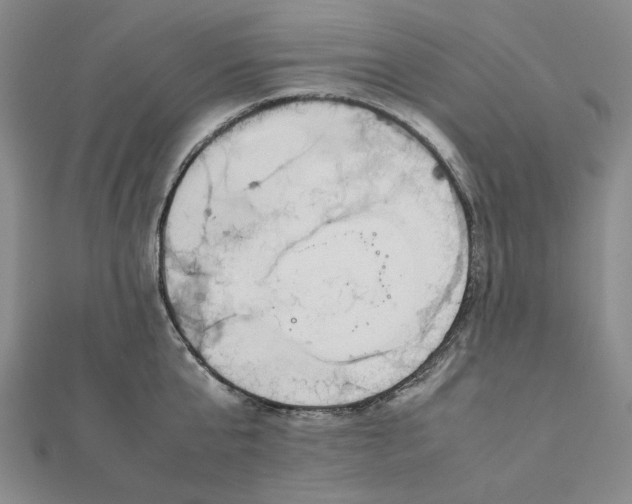 X0000112070807200908251041