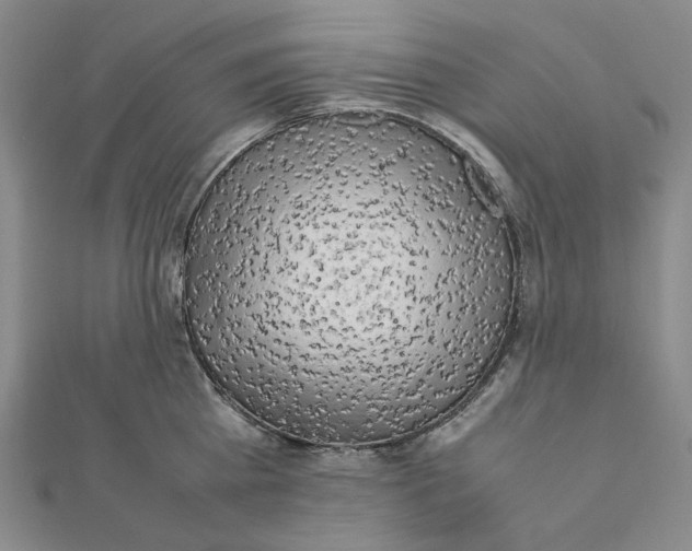 X0000112070809200908251041