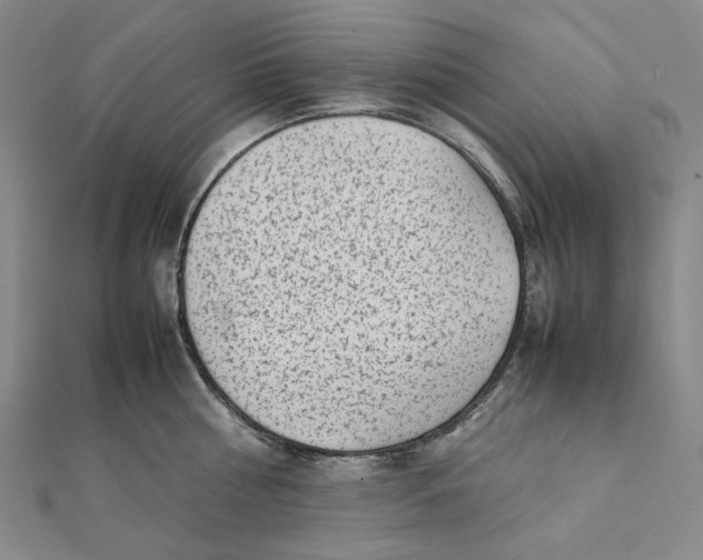 X0000112070810200908251041