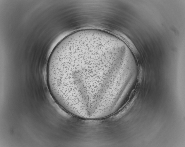 X0000112070812200908251041
