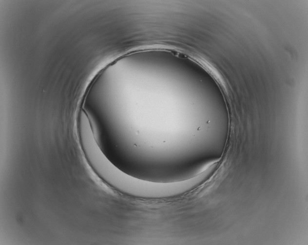 X0000112070813200908251041