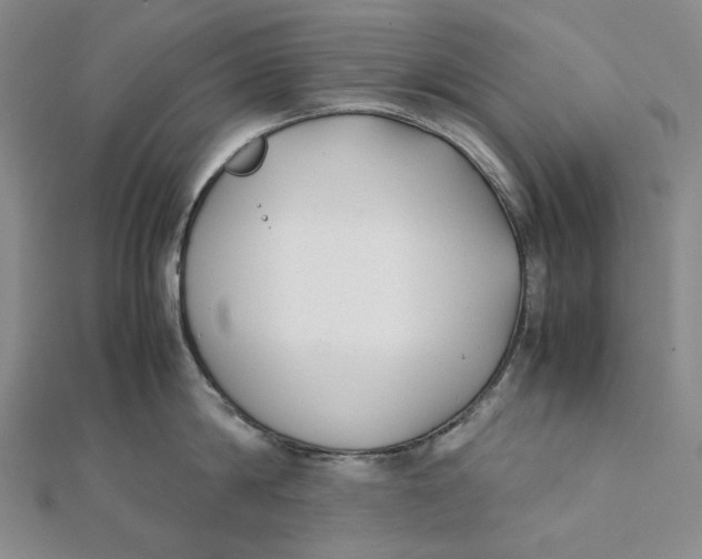 X0000112070814200908251041
