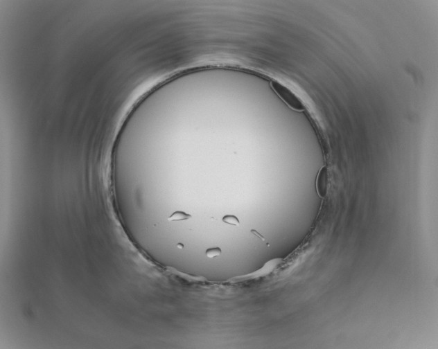 X0000112070815200908251041