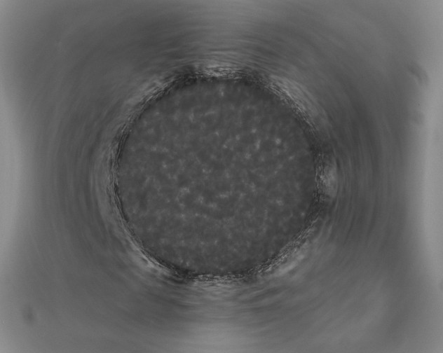 X0000112070817200908251040