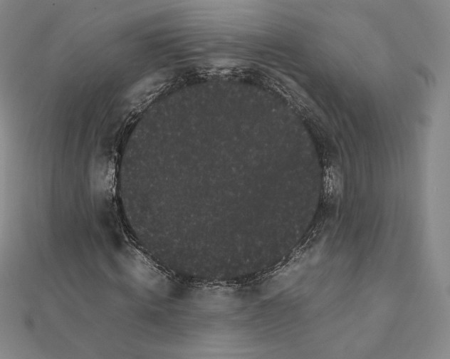 X0000112070820200908251040