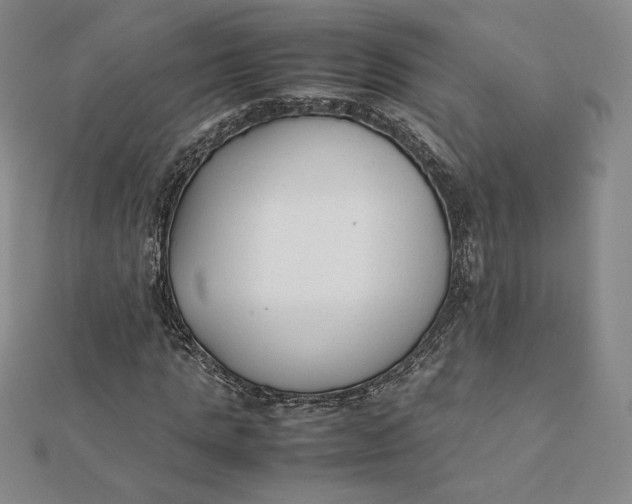 X0000112070821200908251040