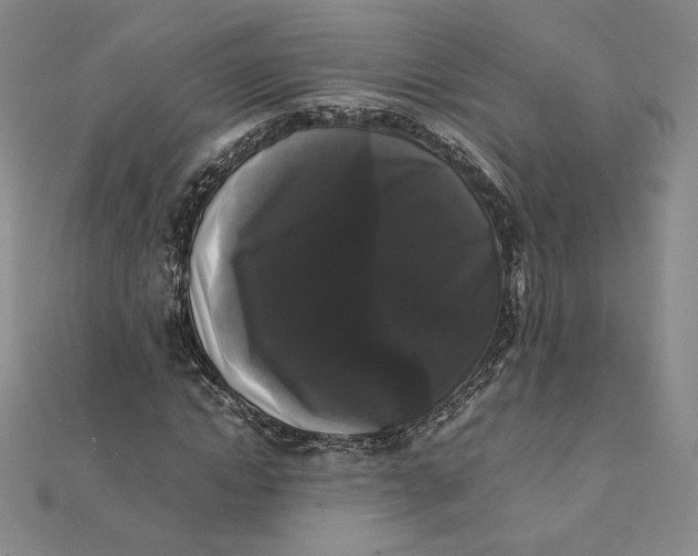 X0000112070822200908251040