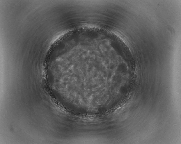 X0000112070823200908251040