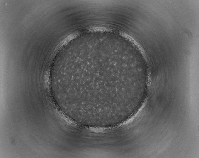 X0000112070825200908251040