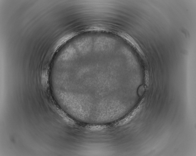 X0000112070826200908251040