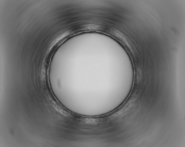X0000112070827200908251040