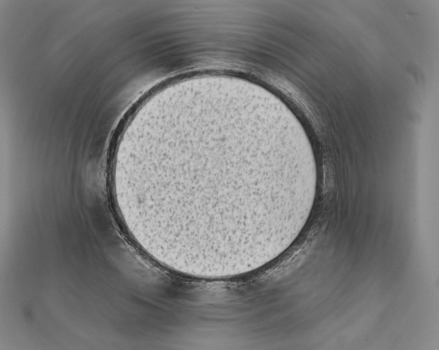 X0000112070828200908251040