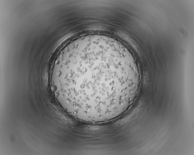 X0000112070829200908251040
