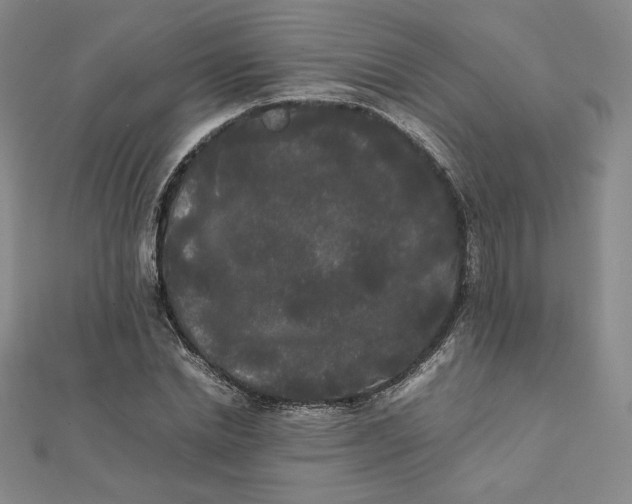 X0000112070830200908251040